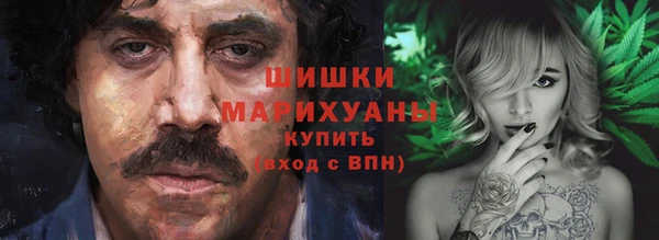 стафф Новокубанск