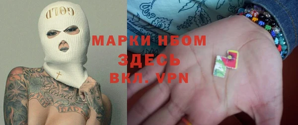 стафф Новокубанск