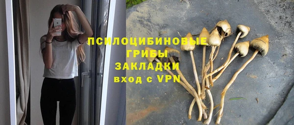 тгк Новозыбков